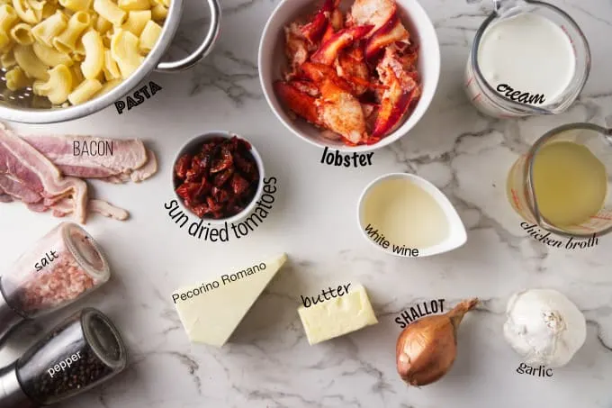 ingredients needed for lobster pasta with creamy garlic sauce.