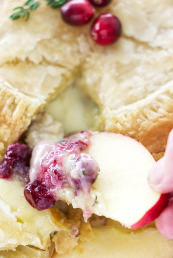 Close up ov apple slice with cranberry sauce and brie