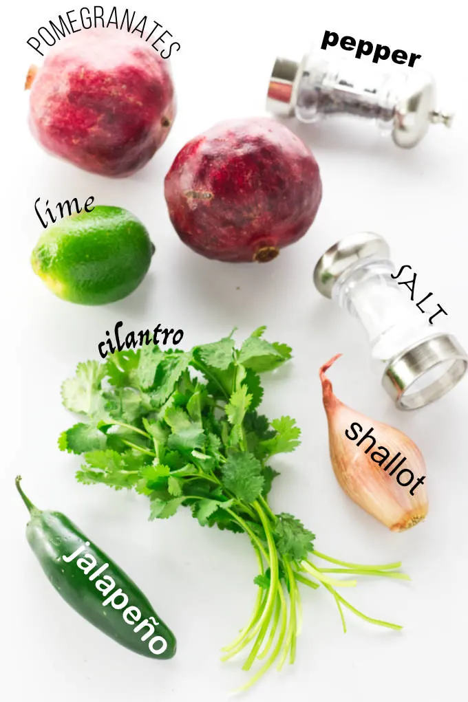 Ingredients for pomegranate salsa