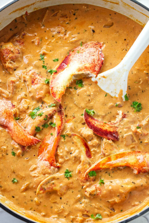 Lobster in Tomato Cream Sauce Savor the Best