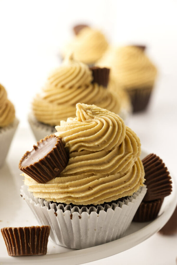 A chocolate cupcake with peanut butter frosting.