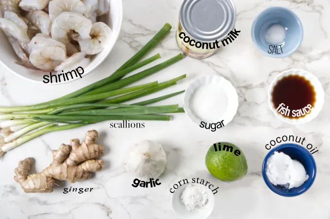 Ingredients used to make creamy coconut shrimp.
