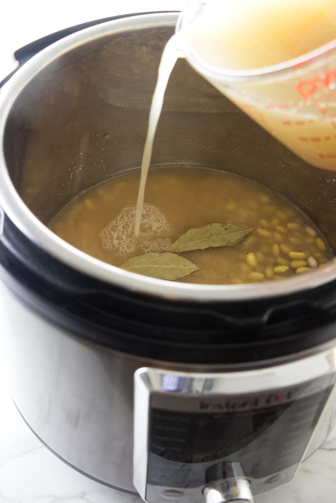 Instant Pot Mayocoba Beans