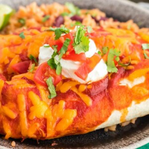 A dinner plate filled with steak enchiladas.