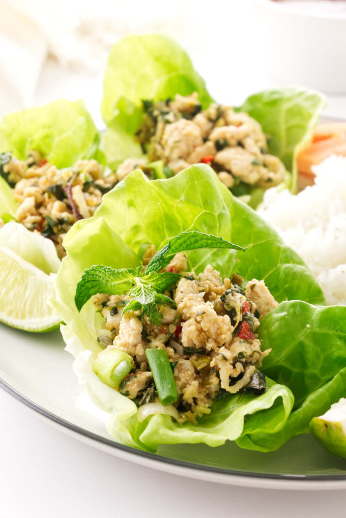 close up view of Thai chicken larb salad
