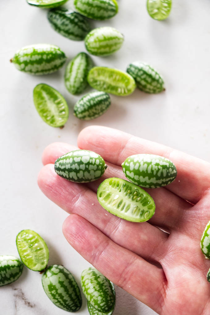 Several cucamelons in a hand to show how small they are.