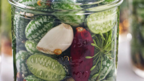 Pickled Cucamelons (Sour Gherkins): Easy Refrigerator Pickles