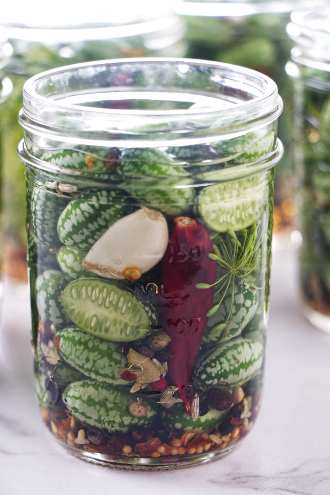 Cucamelons and spices in a jar with pickling brine.