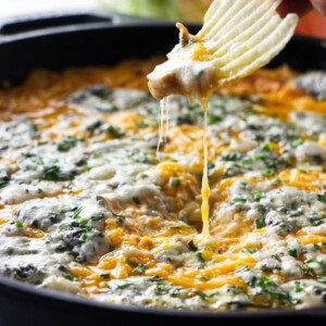 A potato chip dipping into buffalo chicken dip.