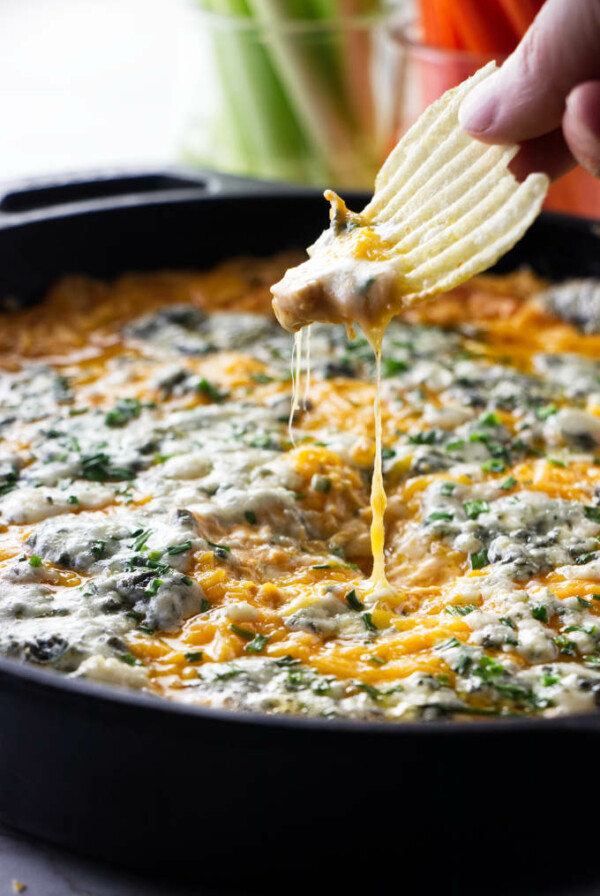 A potato chip dipping into buffalo chicken dip.