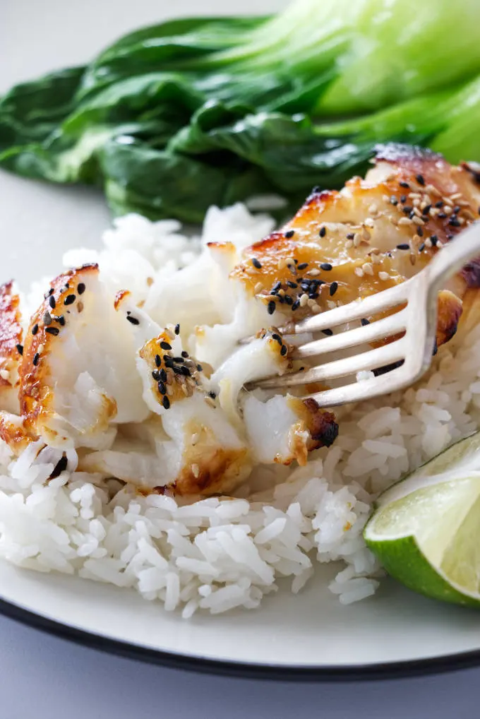 close up view of flaky sea bass on rice, with a fork