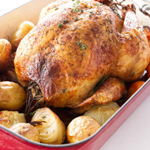 Close up view of Roasted Chicken and Vegetables