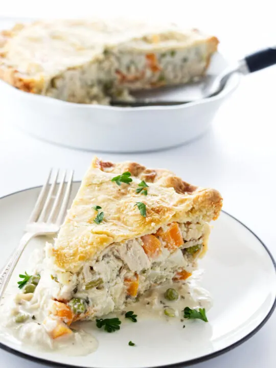 Homemade turkey pot pie on a plate and in a pie dish.