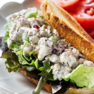 A chicken salad sandwich on a bed of lettuce.