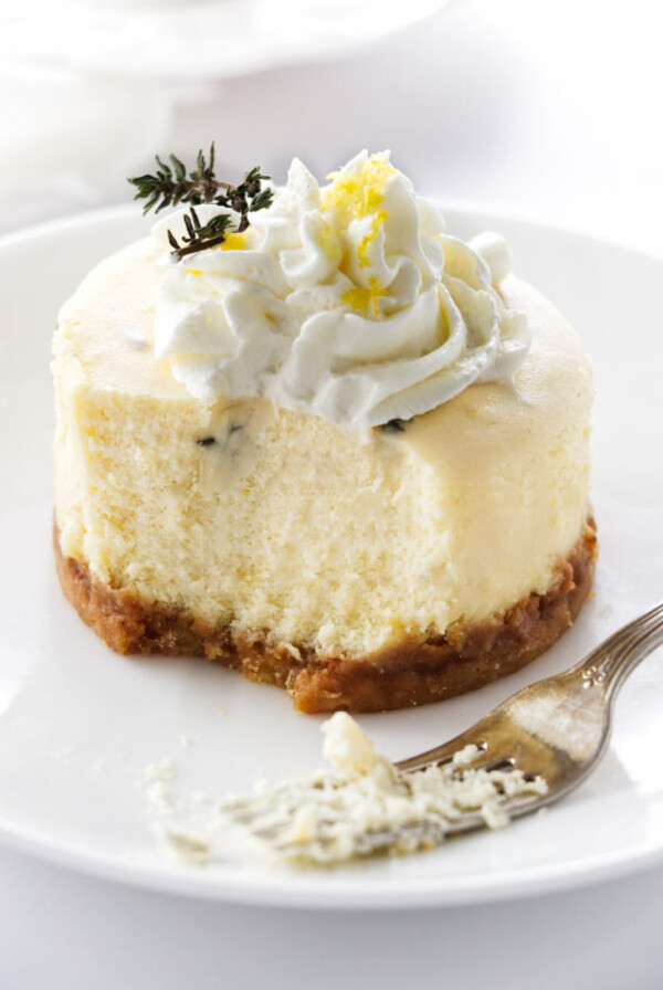 A serving of an individual goat cheese cheesecake