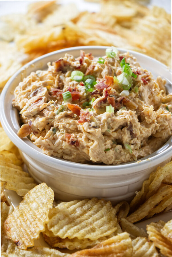 A dish of smoked gouda chip dip.