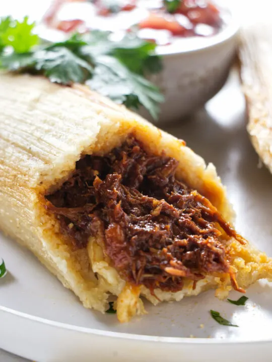 A tamale with shredded pork filling.