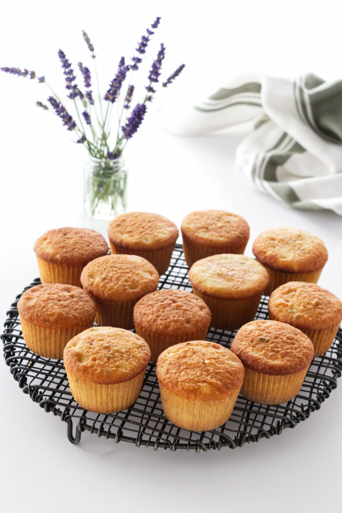 Baked Lavender Cupcakes on a cooling rack