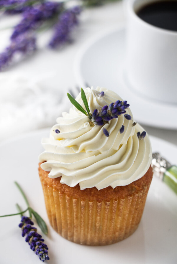 Ermine frosted lavender cupcake