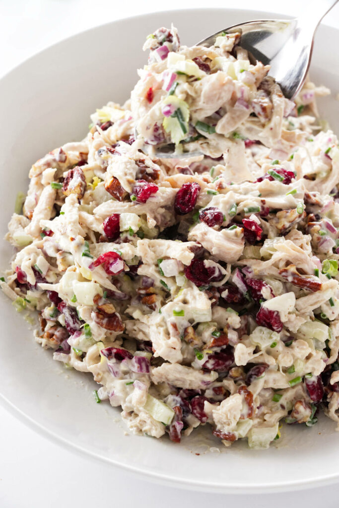 Cranberry chicken salad in a bowl.