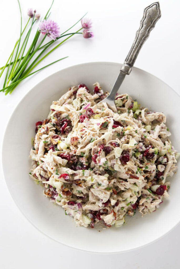 A bowl of cranberry chicken salad.