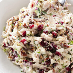 A bowl of cranberry chicken salad.