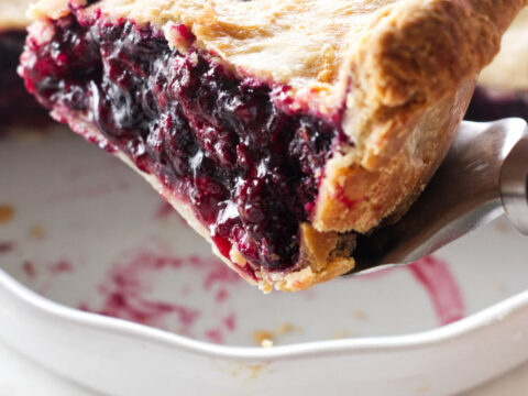 Blueberry Rhubarb Pie - Savor the Best