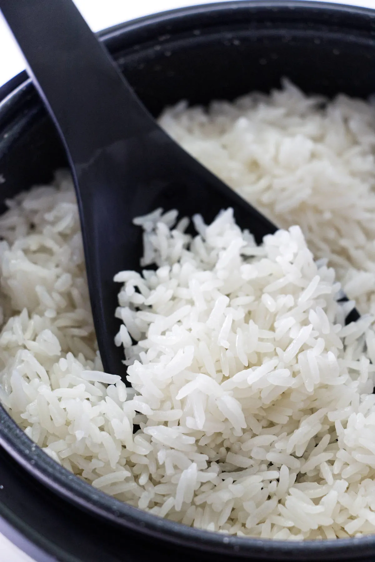 Coconut rice in a rice cooker with rice spatula