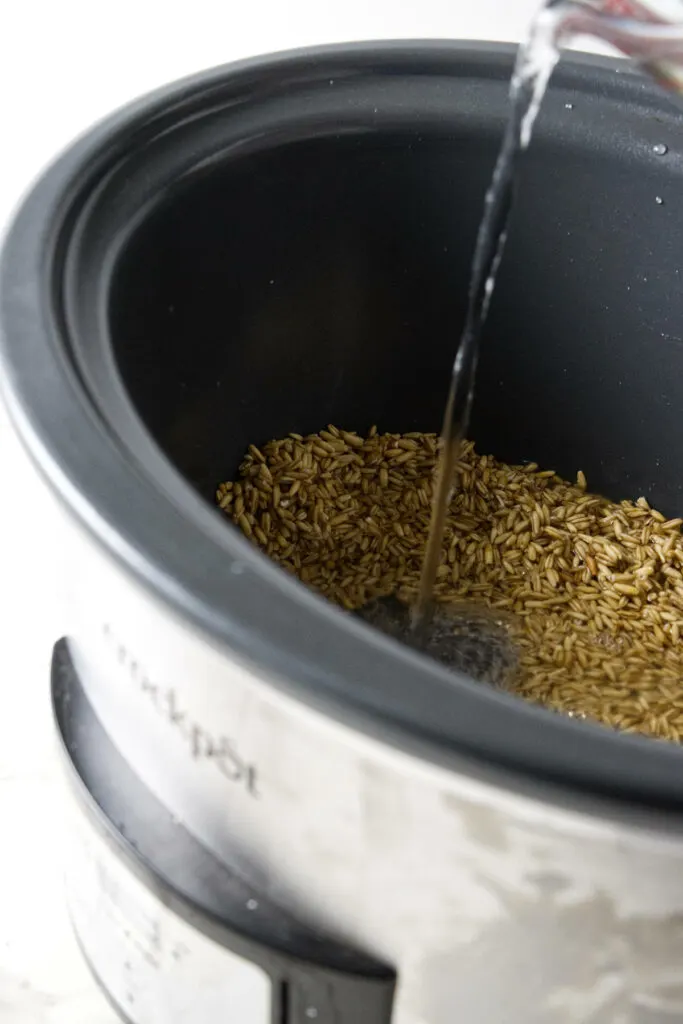 Cooking whole oats in a slow cooker.