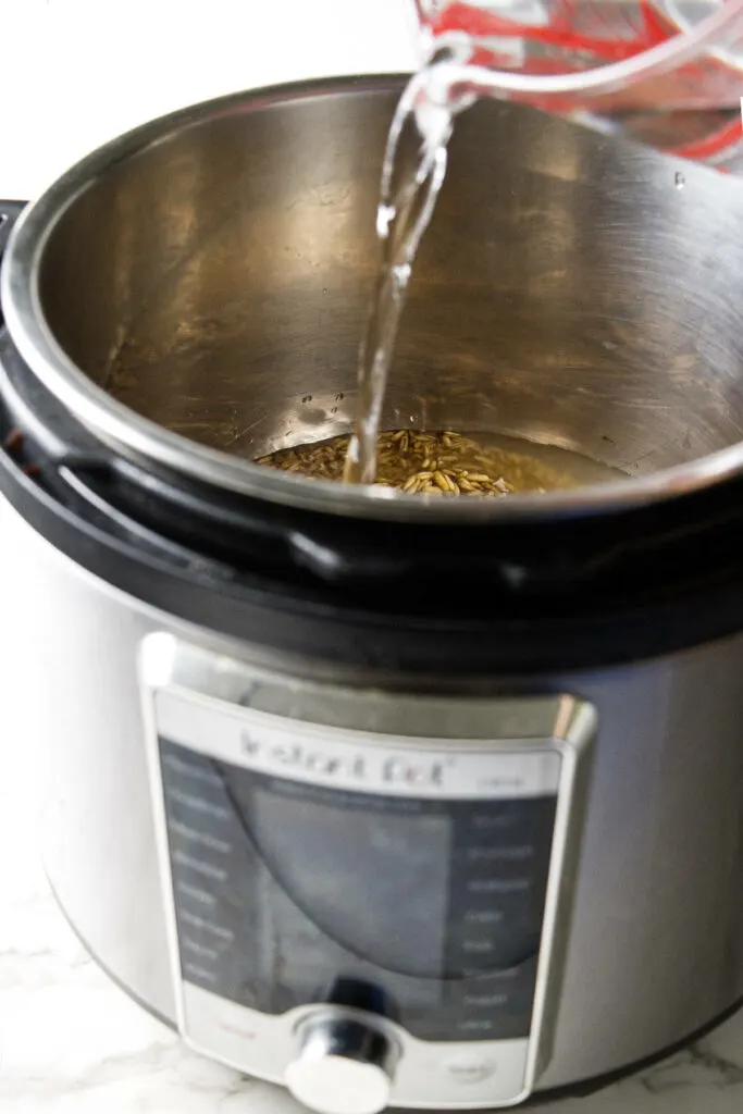 Cooking whole oats in an Instant Pot.