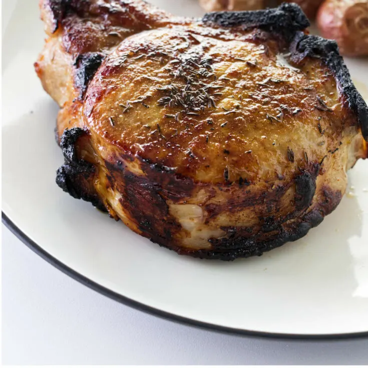 https://savorthebest.com/wp-content/uploads/2022/10/how-to-make-broiled-pork-chops_0318-735x735.jpg.webp