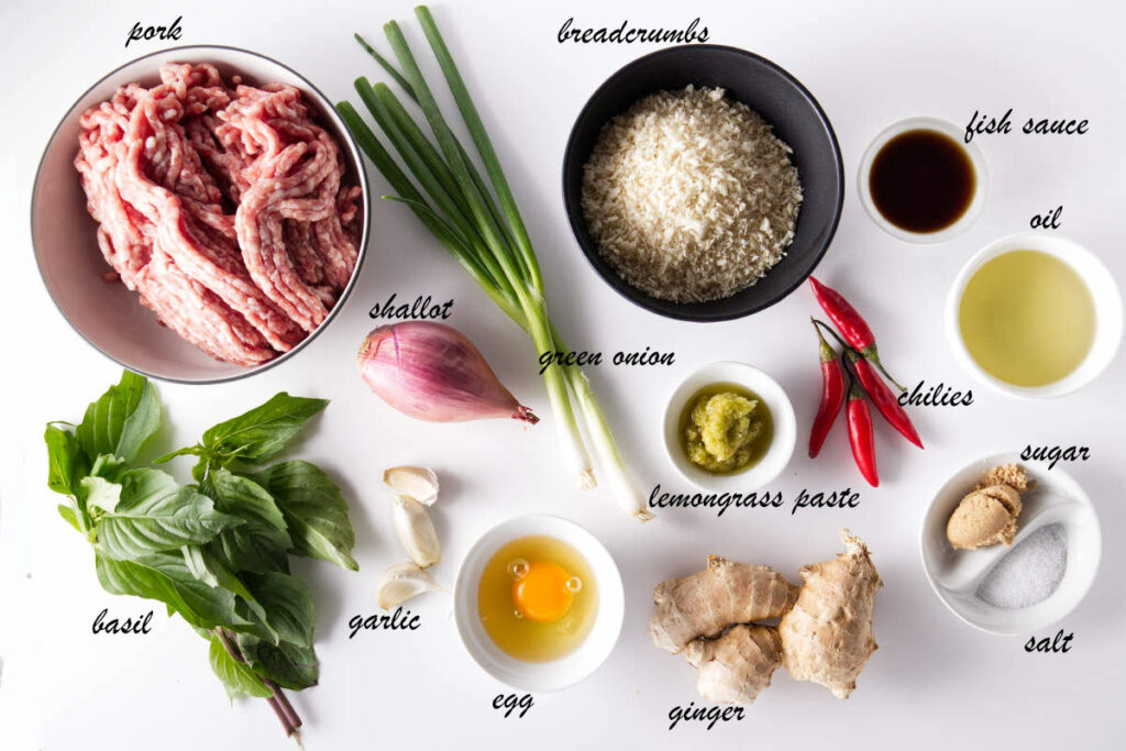 Ingredients needed to make Asian Pork Meatballs.