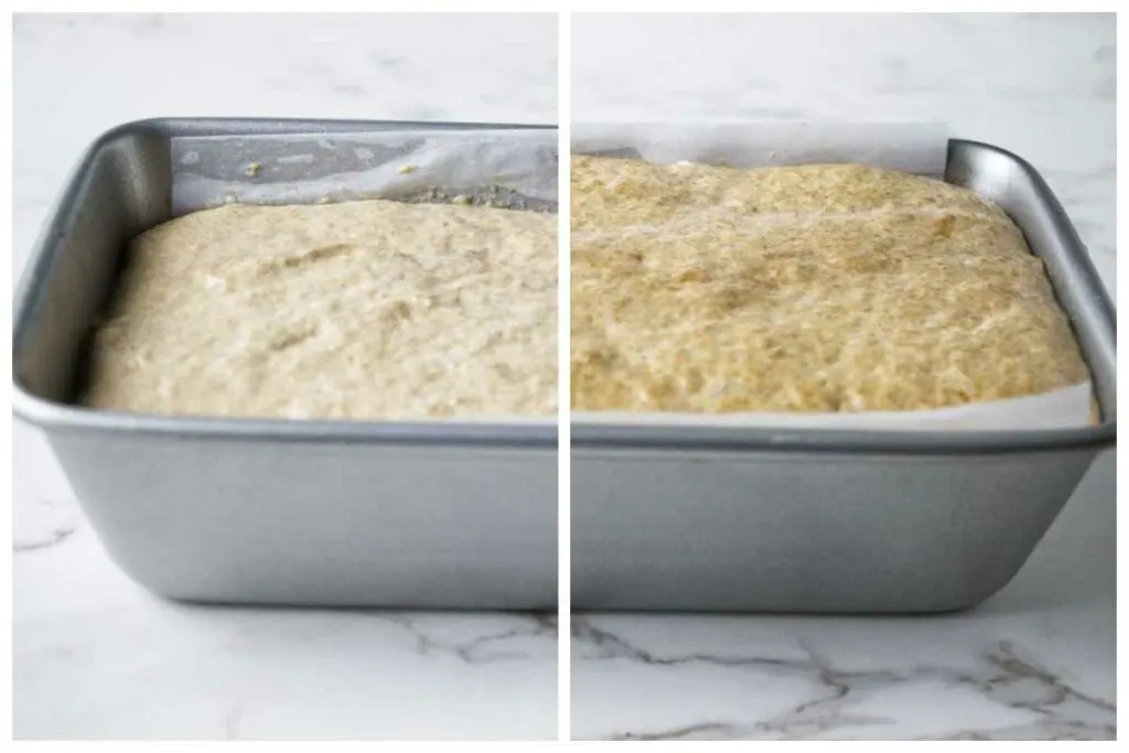 Before and after photo of letting 100% einkorn bread rise by 30% before baking.