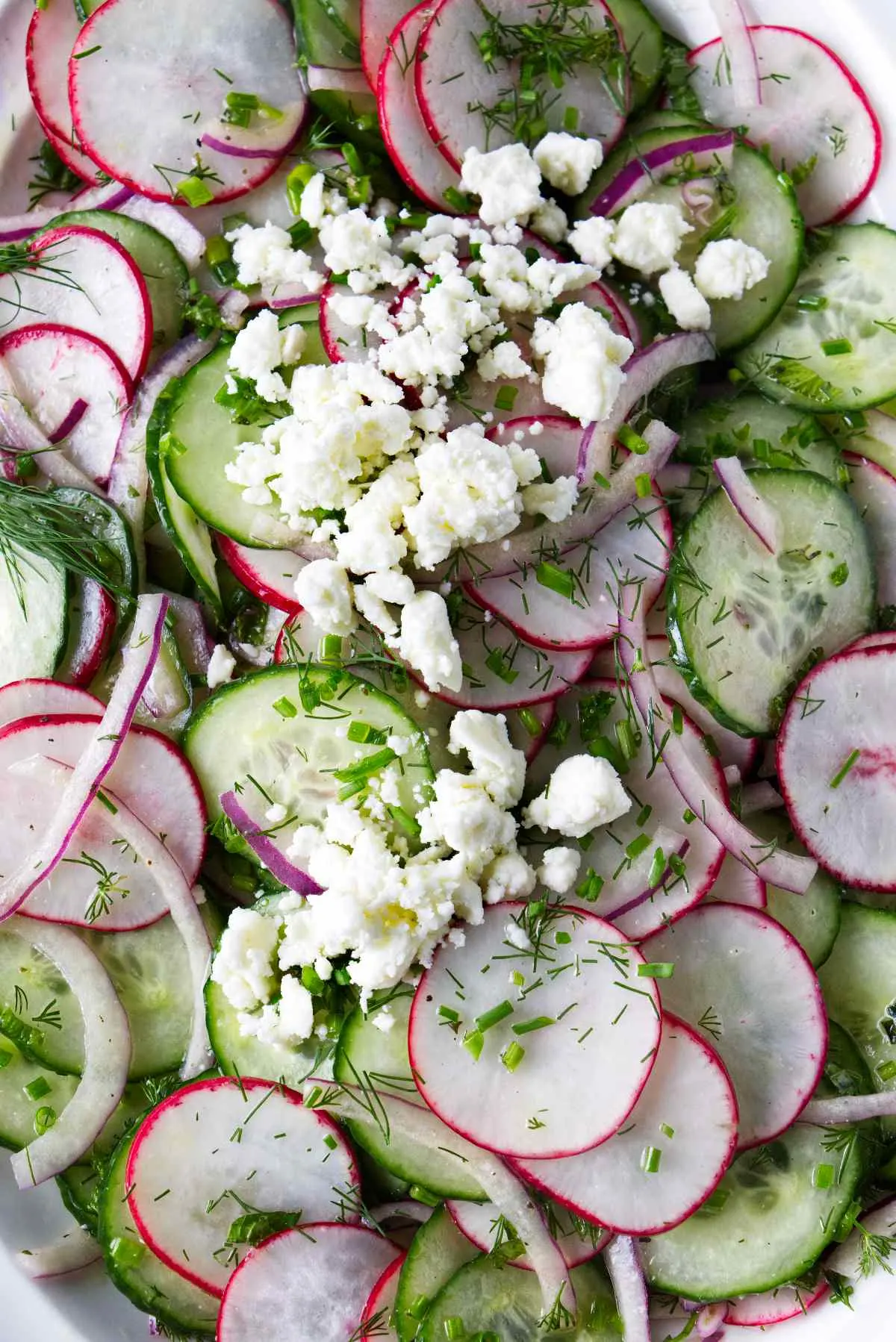 A bowl filled with cucumbers, radishes, red onions, and herbs.