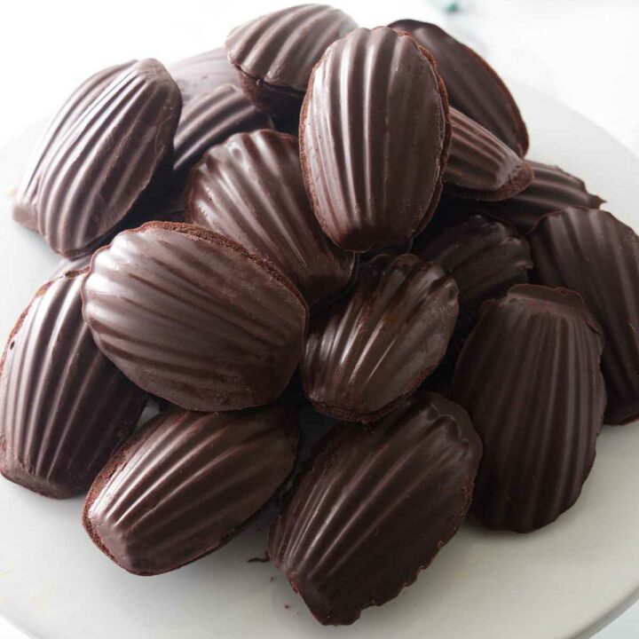 A plate of chocolate covered madeleins