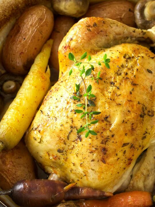 Best Dutch Oven Whole Chicken · The Typical Mom