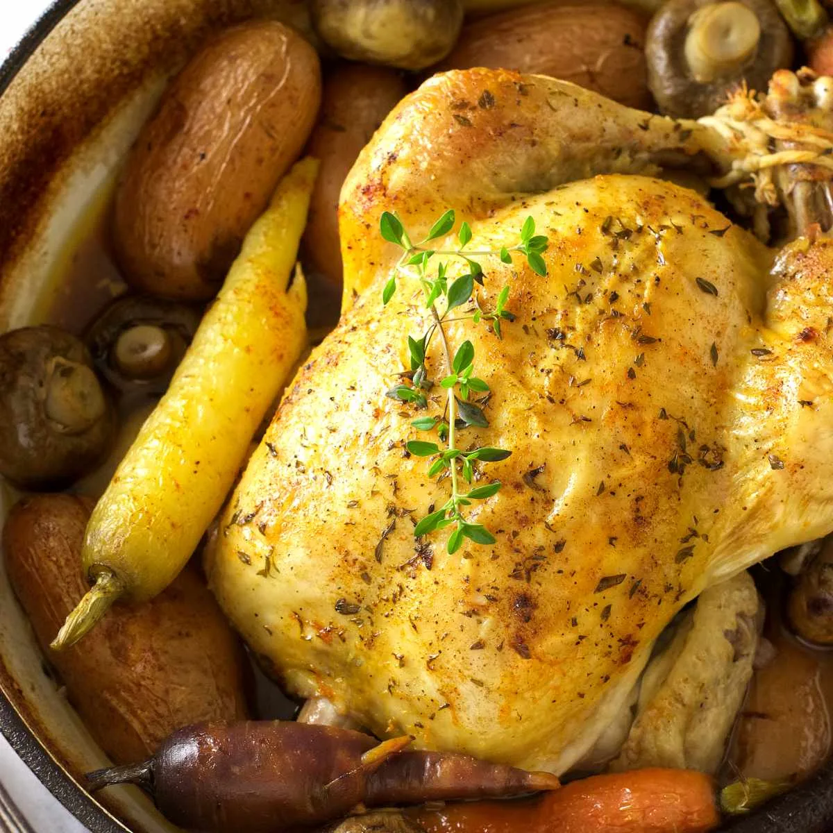 A roasted dutch oven whole chicken with potatoes, carrots, and mushrooms.