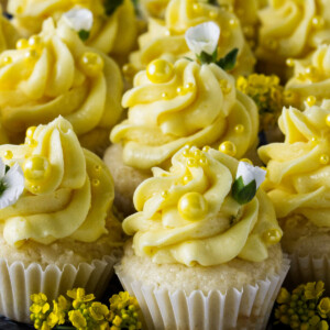 Several bite sized lemon cupcakes decorated with yellow sprinkles and white flowers.