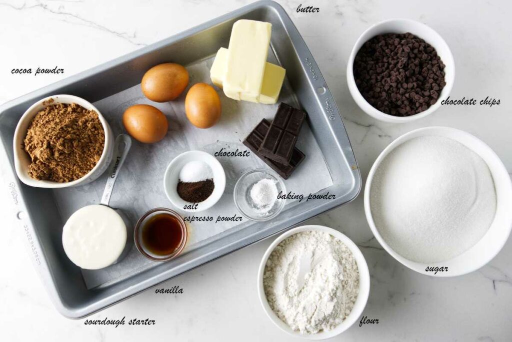 Ingredients for brownies with sourdough starter: cocoa powder, sourdough discard, vanilla, salt, espresso powder, baking powder, chocolate, eggs, butter, sugar, and flour.