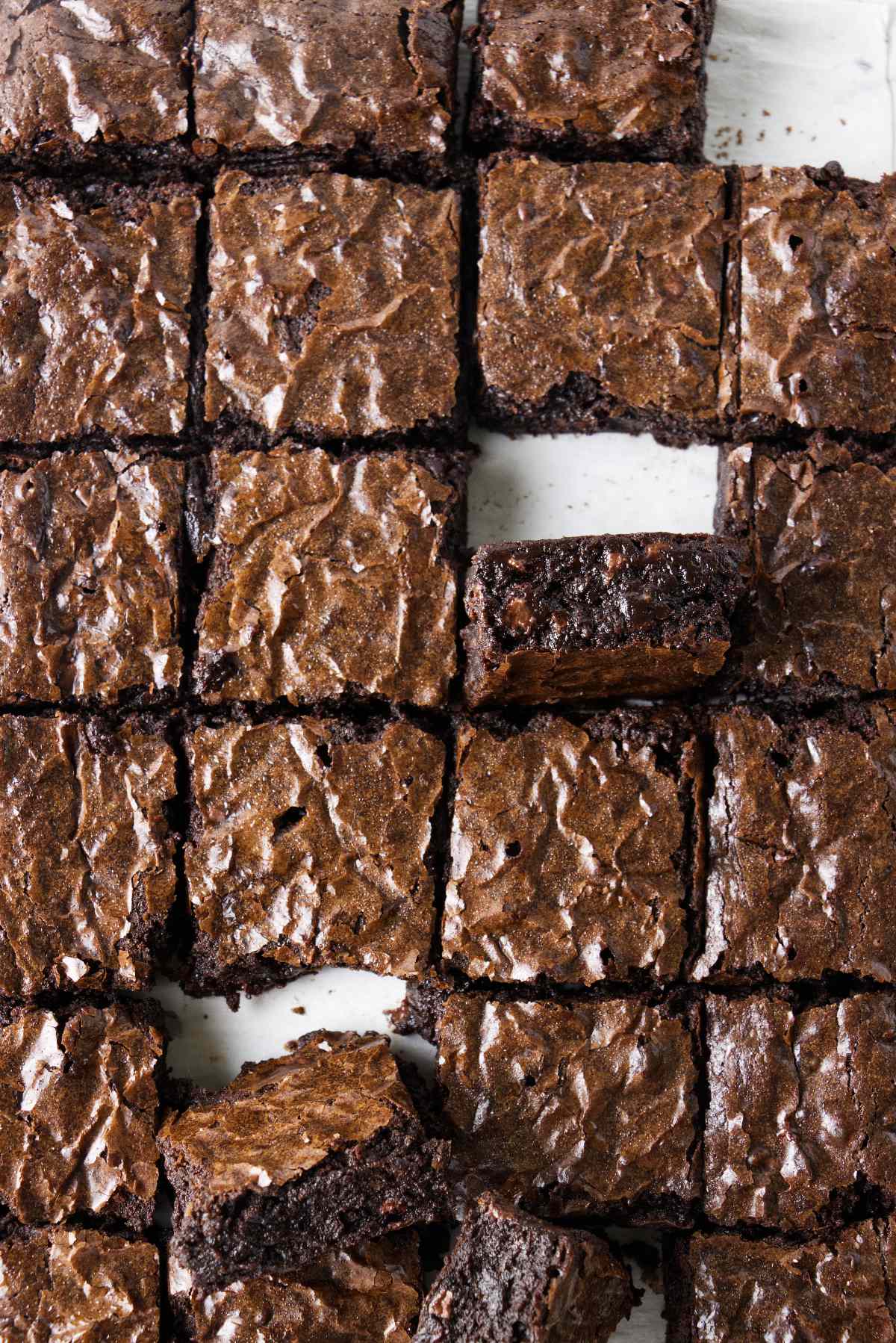 Sourdough brownies sliced into squares.