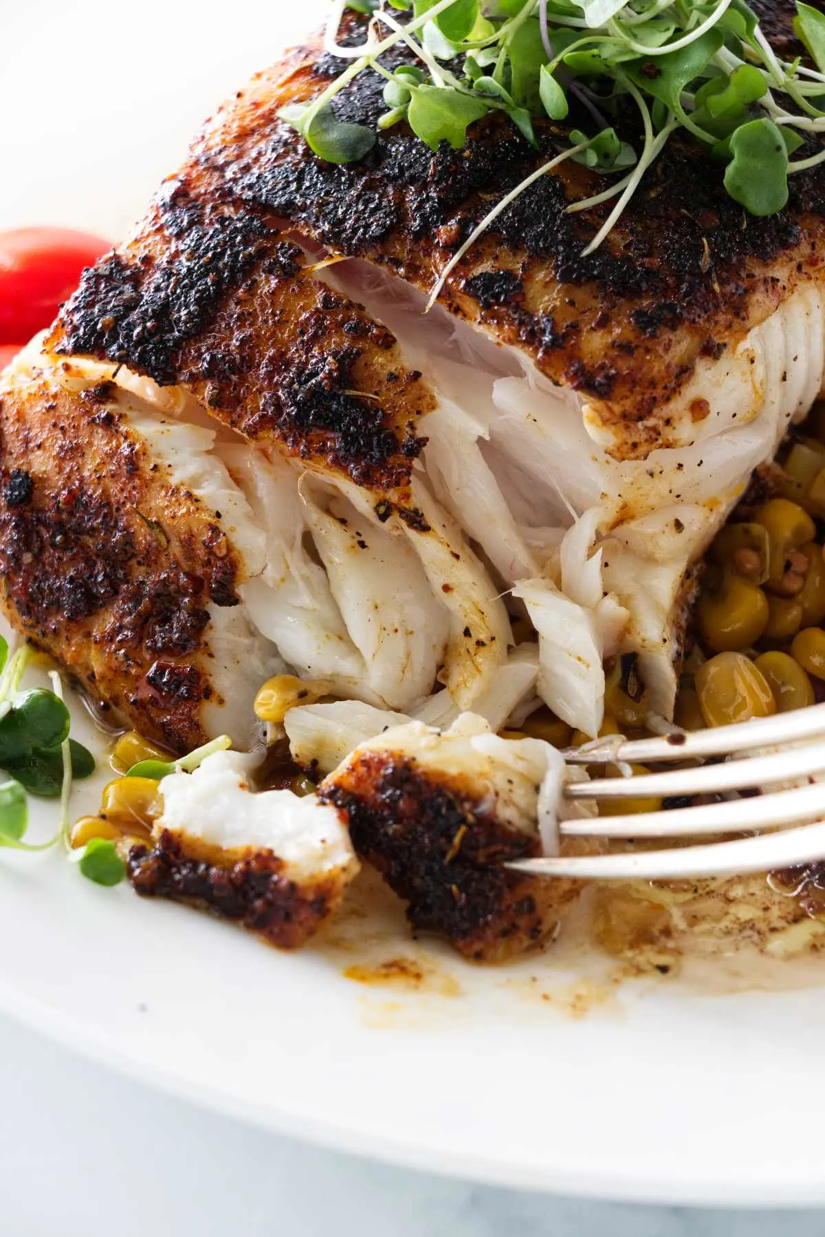 A serving of blackened halibut with a flaky bite on a fork.