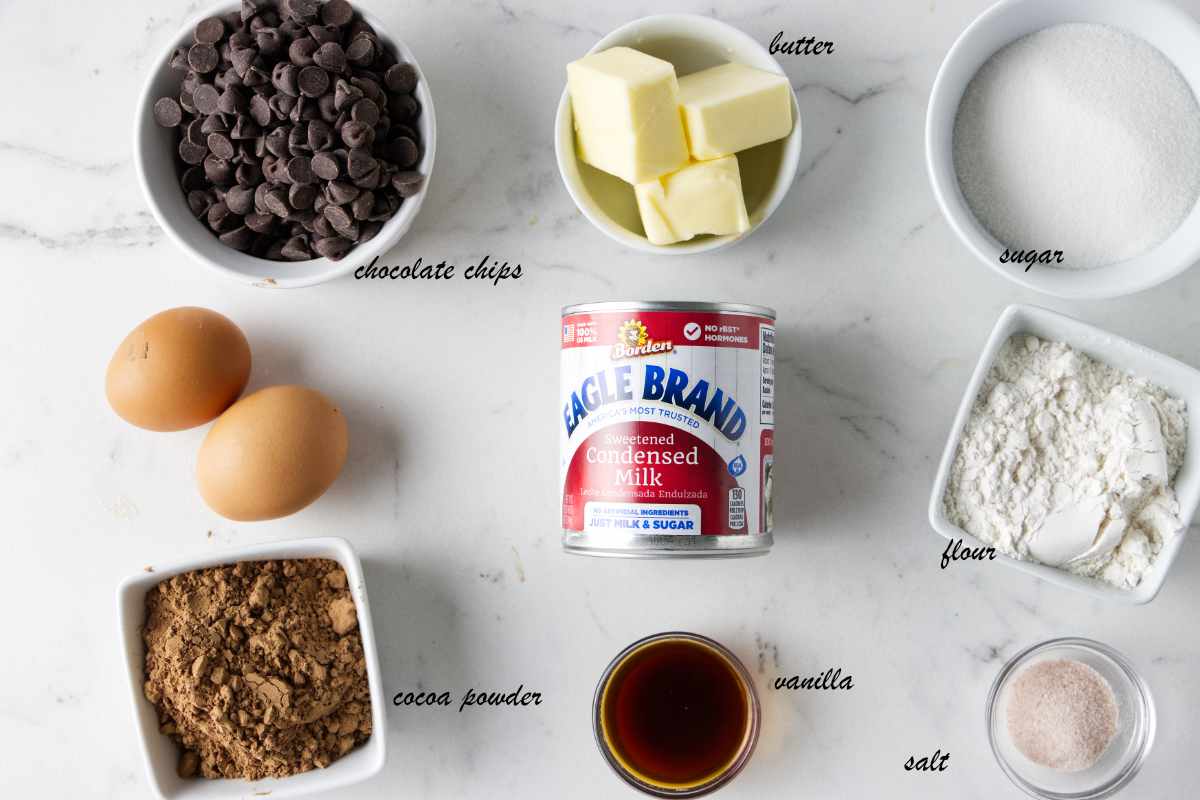 Ingredients for condensed milk brownies: sweetened condensed milk, vanilla, salt, flour, sugar, butter, chocolate chips, eggs, and cocoa powder.
