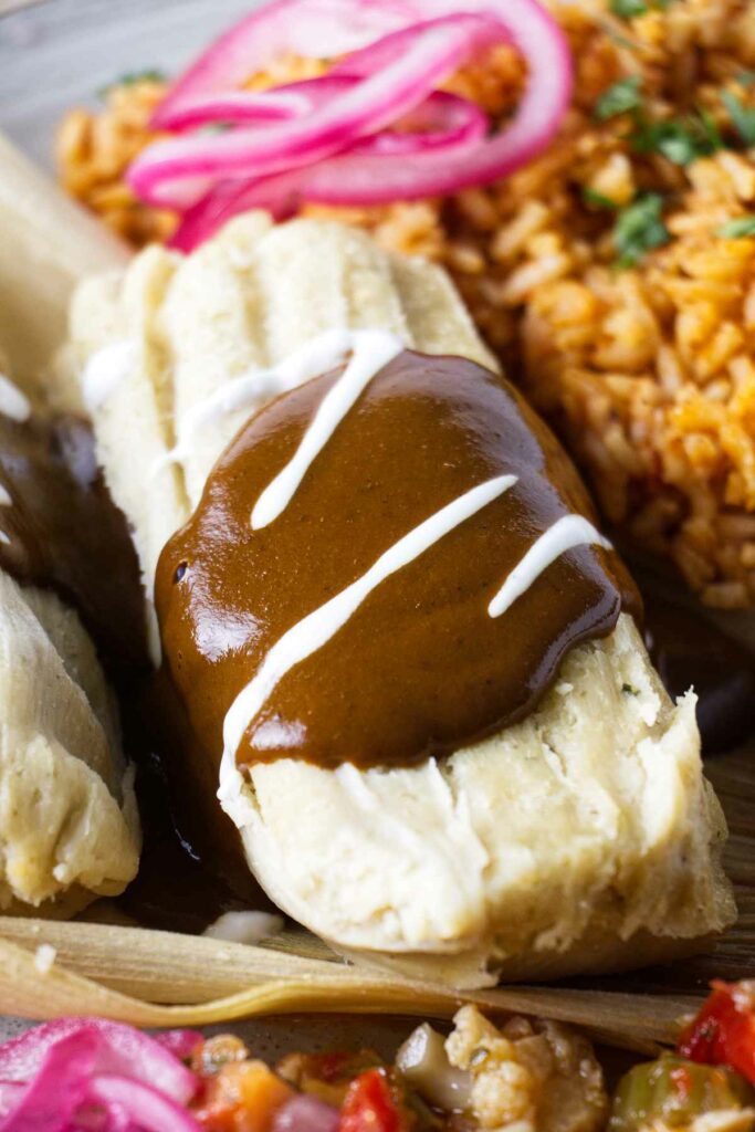 A tamale on a plate topped with mole sauce.