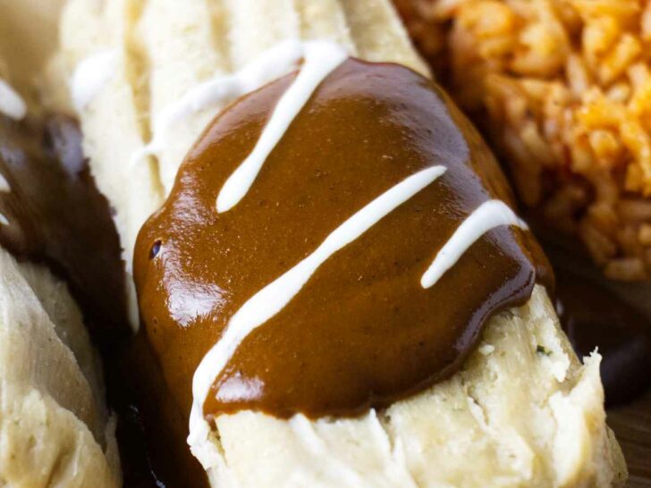 A tamale on a plate topped with mole sauce.