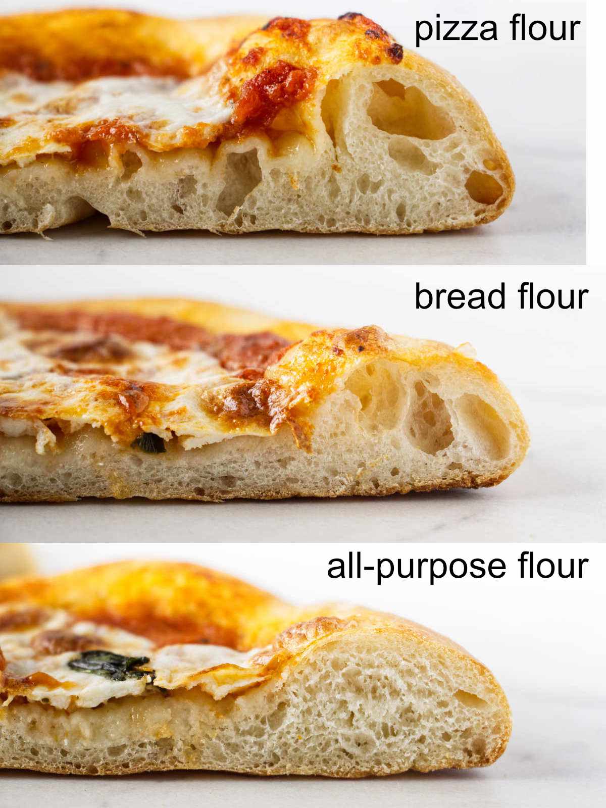 Pizza Flour Vs Bread Flour For Pizza Dough Savor The Best