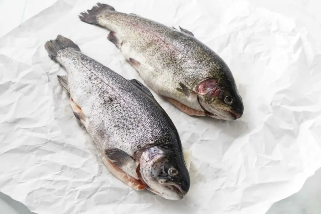 Two fresh rainbow trout on butcher's paper.