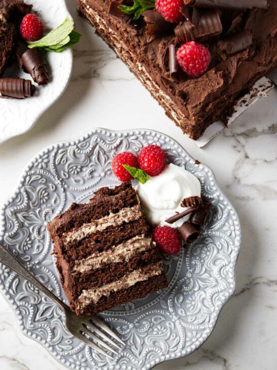 A chocolate cake with ricotta cheese filling.