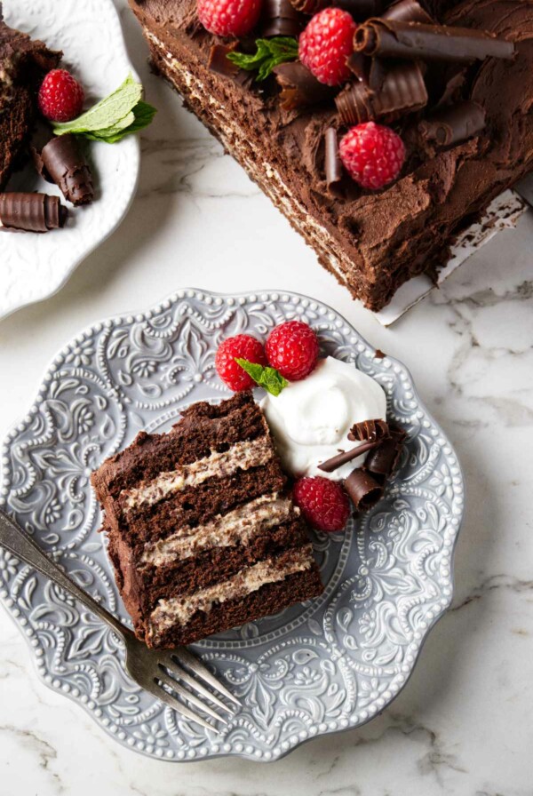 A chocolate cake with ricotta cheese filling.