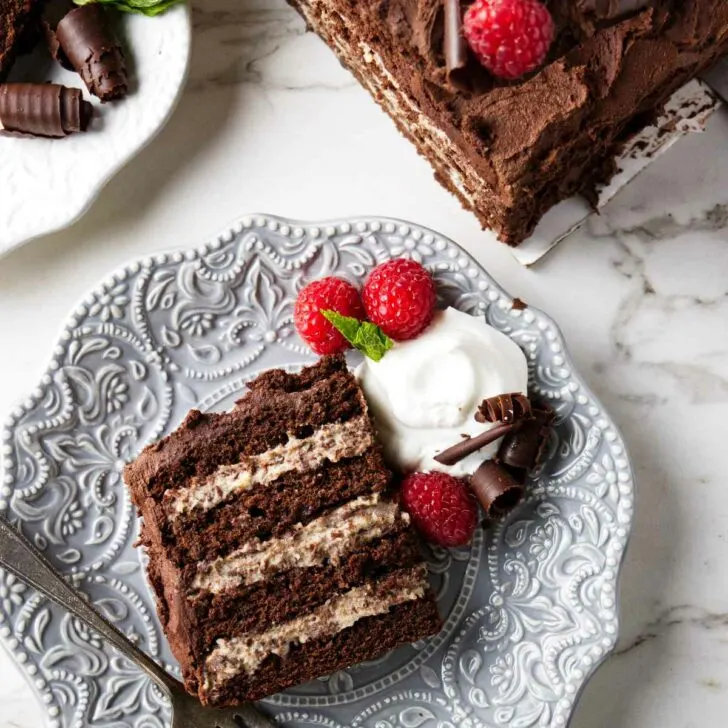 A chocolate cake with ricotta cheese filling.
