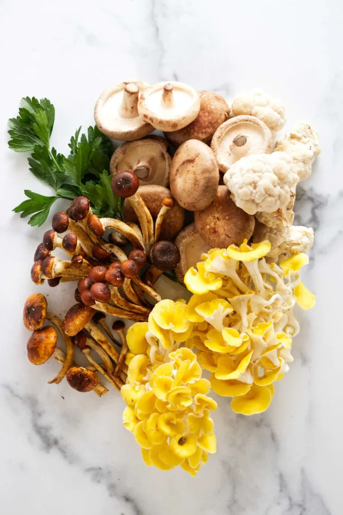 Several different types of wild mushrooms.